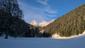 Alpenrose Boutique Chalet, Ramsau Am Dachstein, Österreich